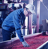 生产加工与质量控制